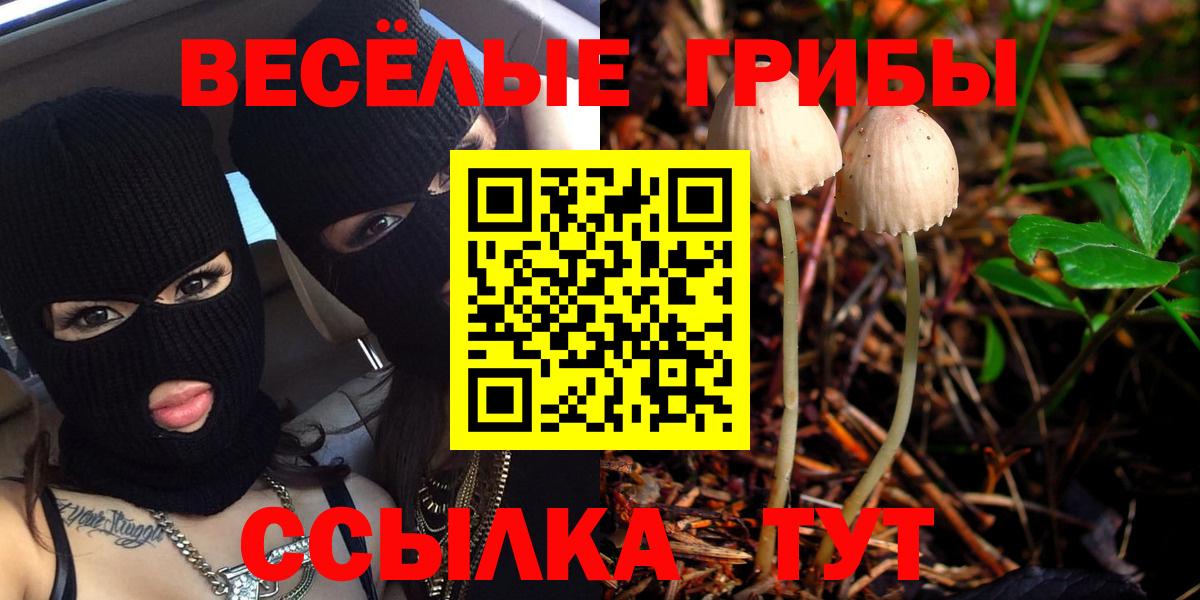 Галлюциногенные грибы Magic Shrooms  Псилоцибиновые грибы Psilocybine cubensis  Тамбов  Вход с VPN 